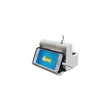 Supresor con USB-C DPS 1100 USBAC