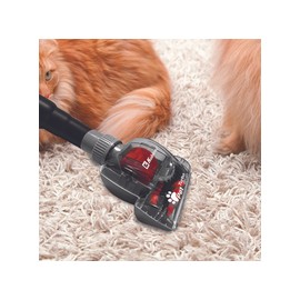 Kit 2-en-1 Bed & Pet Turbo Clean Brush