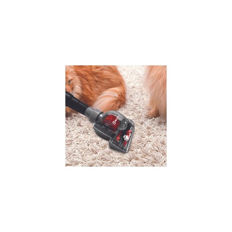 Kit 2-en-1 Bed & Pet Turbo Clean Brush